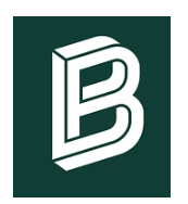 Bitpanda Logo